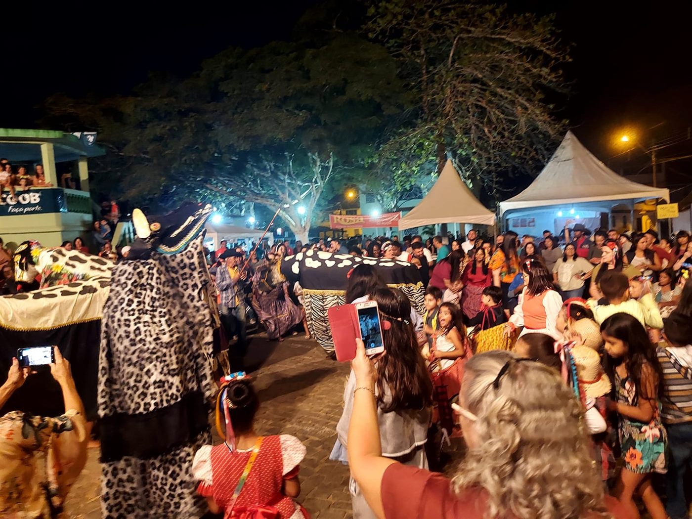 Boi pintadinho dança entre o público na Festa de Santo Antônio do Muqui